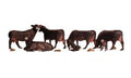 HO Black Angus Cows