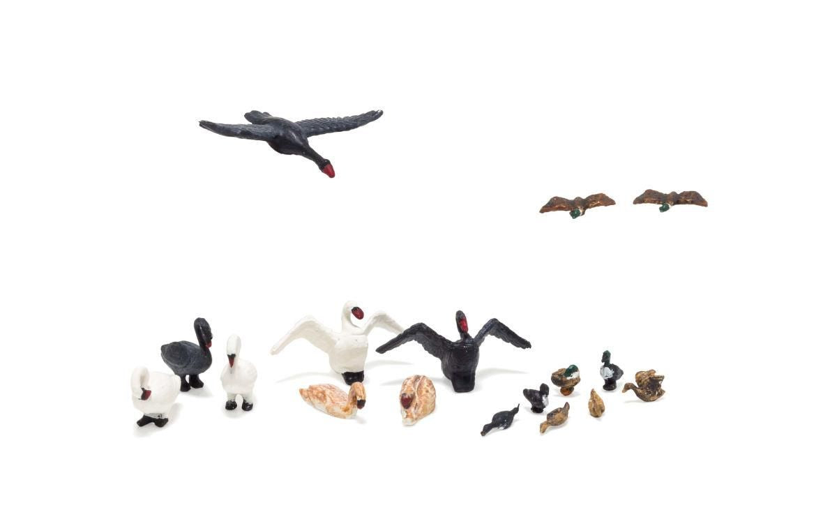 HO Ducks and Swans