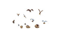 HO Birds and Nests