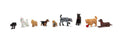 HO Dogs & Cat