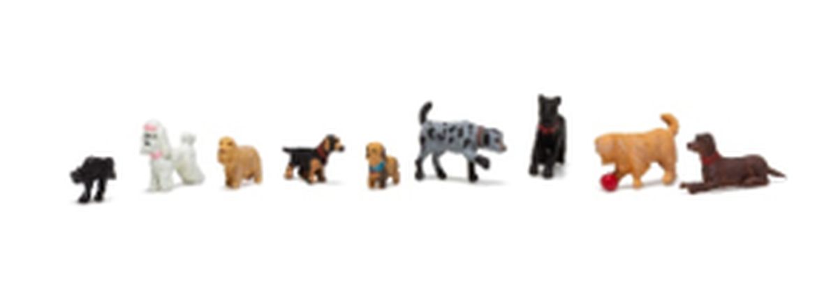 HO Dogs & Cat
