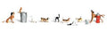 N Dogs & Cats
