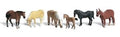 N Farm Horses