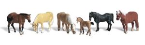 N Farm Horses