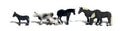 N Farm Animals