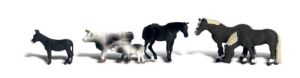 N Farm Animals