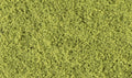 Light Green Coarse Turf Value Size