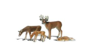 G Buck & Family