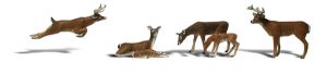 O Deer