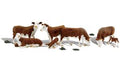 O Hereford Cows