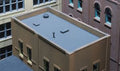 HO DPM Roof & Trim Kit
