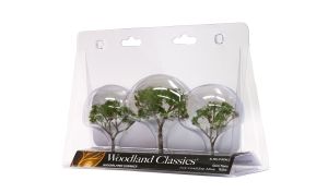 2.5''-3.5'' Gum Tree 3/Pack