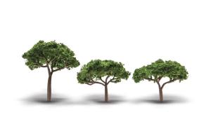 2.3 - 3.3 Canopy Trees 3/pkg