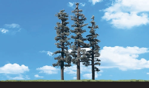 Standing Timber Trees 2.5'' - 4''