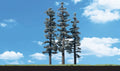 Standing Timber Trees 4'' - 6''