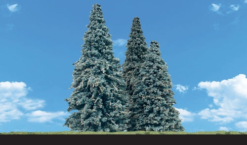 Blue Needle Trees 3.5'' - 5.5''