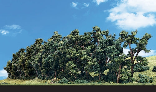Hedge Row Trees 1'' - 4''