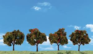 2''-3'' Apple Trees 4/pkg
