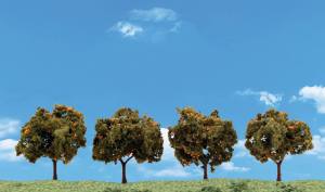 2''-3'' Orange Trees 4/pkg