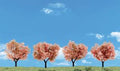 2''-3'' Flowering Trees 4/pkg