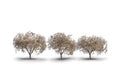 1.75 - 2.25 Cherry Blossom 3/pkg