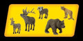North American Wildlife Scene