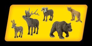 North American Wildlife Scene