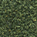 Turf/Green Blend