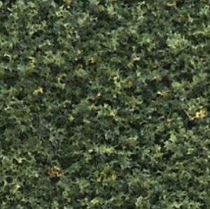 Turf/Green Blend