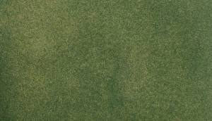 Large Grass Mat/Green 50x100 Medium