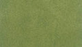 Grass Mat Sheet Spring 12x14