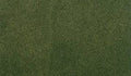 Grass Mat Sheet Forest 12x14