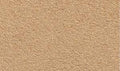 25''X33'' Desert Sand RG Roll