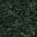 Foliage/Dark Green