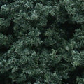 Foliage Cluster/Dark Green