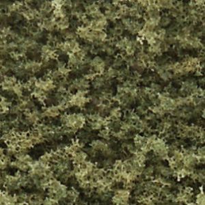 Coarse Turf/Burnt Grass