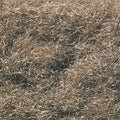 Flock Static Grass/Burnt Grass
