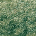 Flock Static Grass/Medium Green