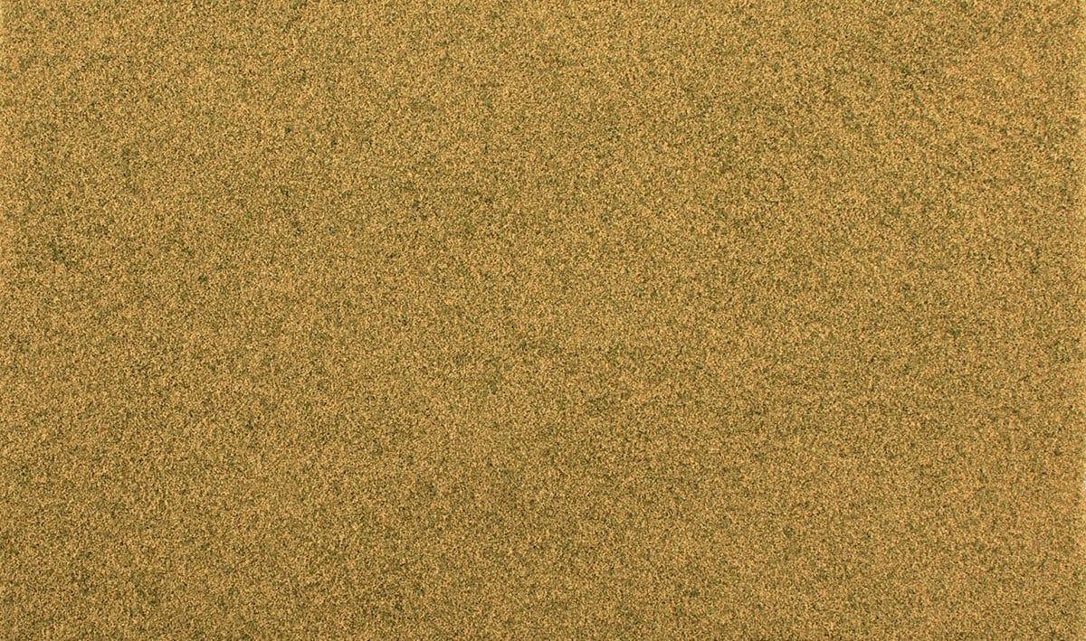 AGT Dry Grass