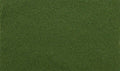AGT Spring Grass