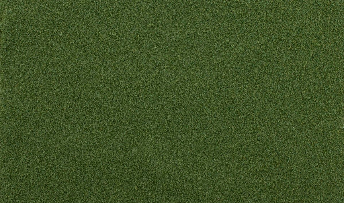 AGT Spring Grass