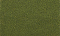 AGT Summer Grass