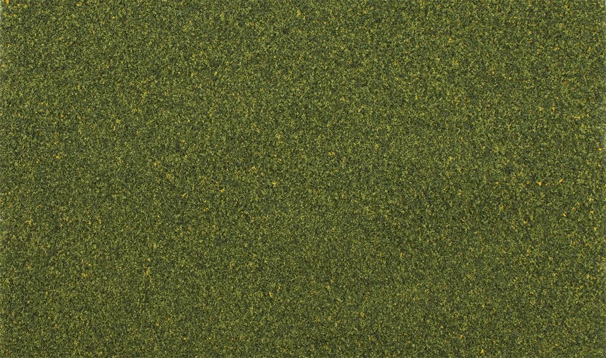 AGT Summer Grass
