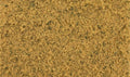 AGT Dry Weeds