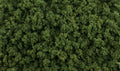 AGT Medium Green Foliage Clumps