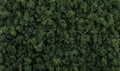 AGT Dark Green Foliage Clumps