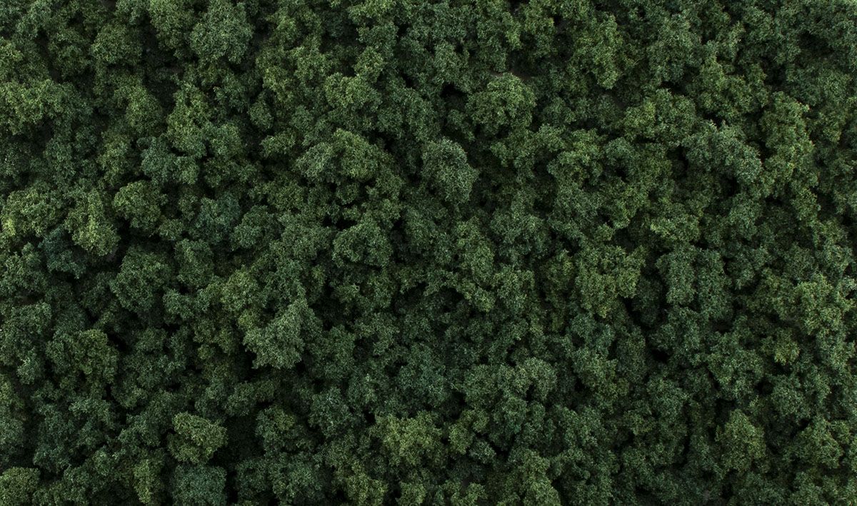 AGT Dark Green Foliage Clumps