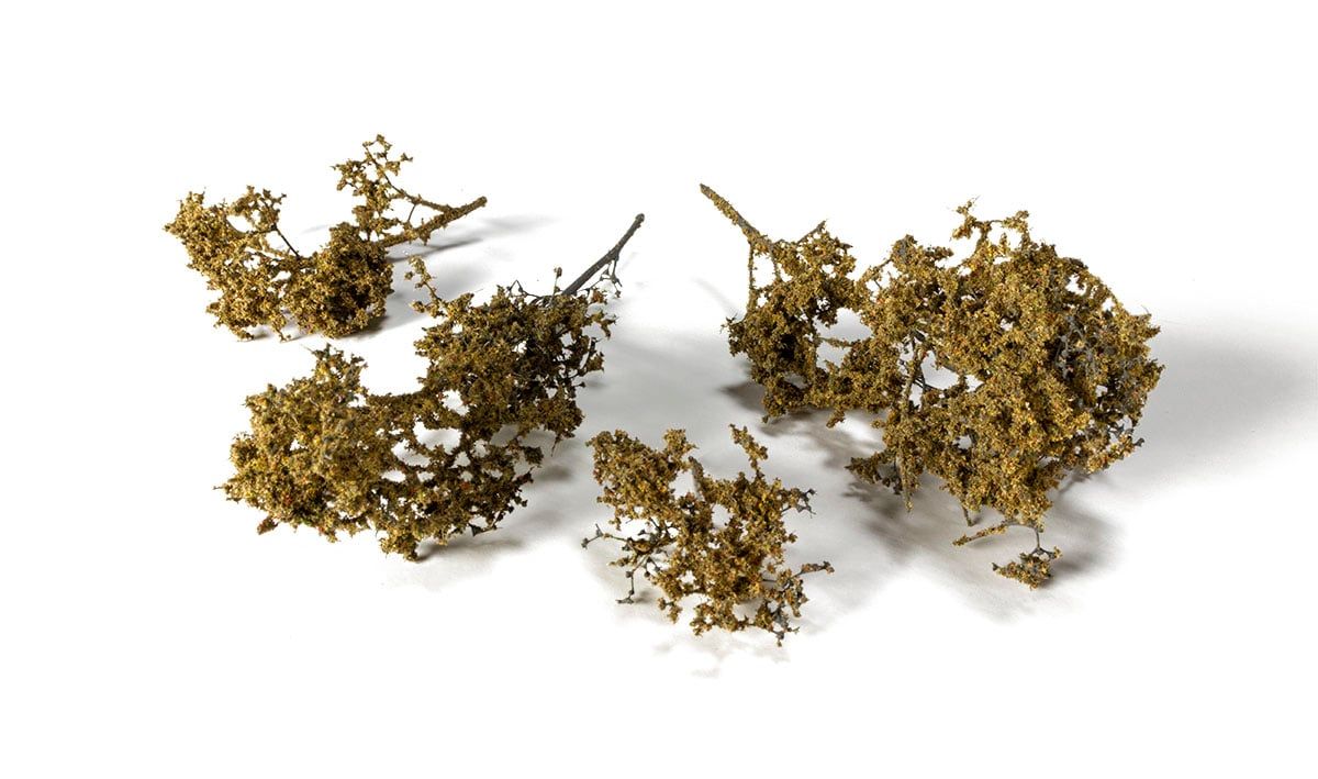 AGT Fall Brambles