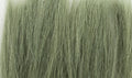 AGT Green Tall Grass