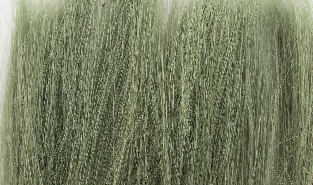 AGT Green Tall Grass